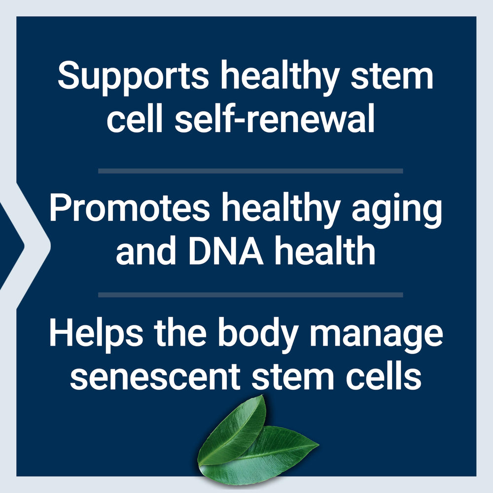 GEROPROTECT Stem Cell bottle with resveratrol signals antioxidant support at the cellular level.