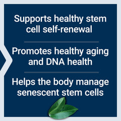 GEROPROTECT Stem Cell bottle with resveratrol signals antioxidant support at the cellular level.