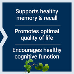 Contains 6% terpene lactones for balanced brain function