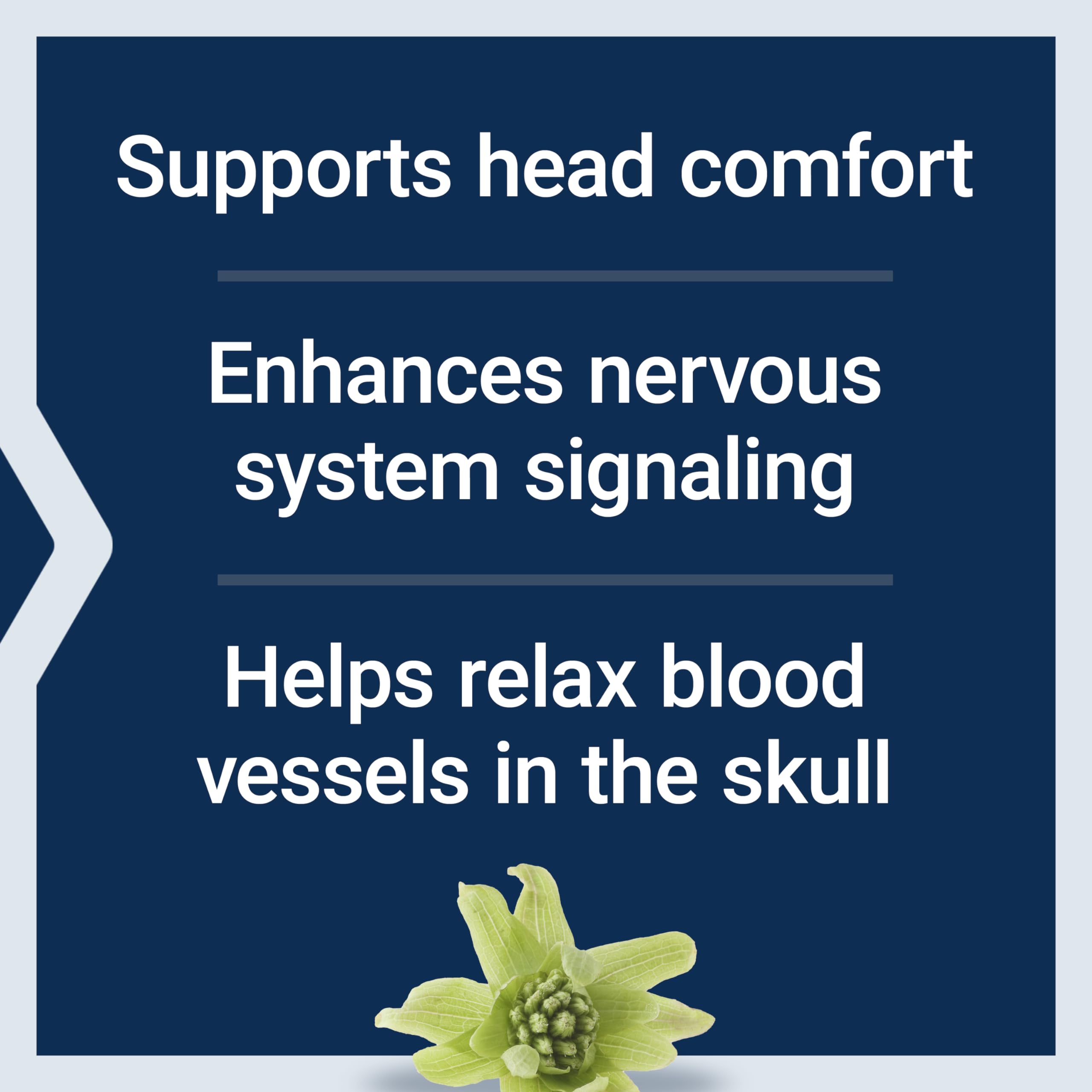 Life Extension Migra-Eeze butterbur root extract image emphasizing petasin potency.