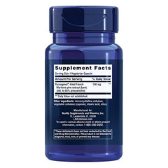 Life Extension Pycnogenol capsules close-up showing smooth coating.