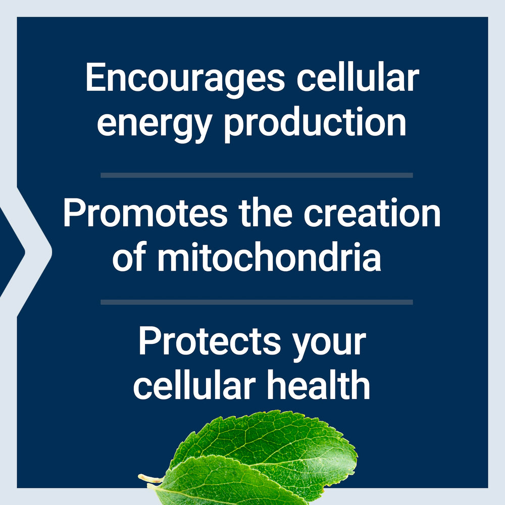 Taurine and B vitamins shown in Life Extension capsules for cellular resilience.