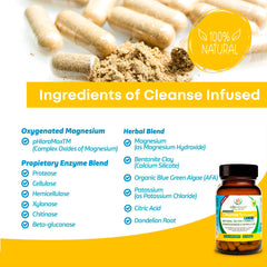 Life Infused Cleanse Infused Plus capsules close-up showing easy daily use.