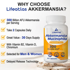 Lifeatlas Akkermansia 60-capsule package for a 30-day routine