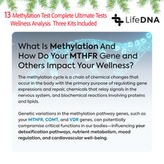 LIFEDNA 13-gene panel highlights MTHFR, COMT, MTRR variants.
