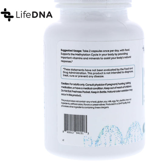 Close-up of LIFEDNA Methyl+ capsules, showcasing a 60-count bottle for daily methylation support.