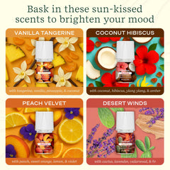 Coconut Hibiscus blend in diffuser with tropical scent profile.