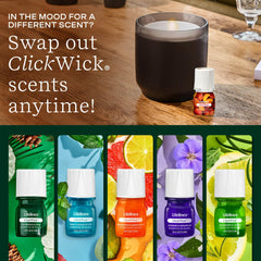 Vanilla Tangerine blend display for warm, inviting home ambience.