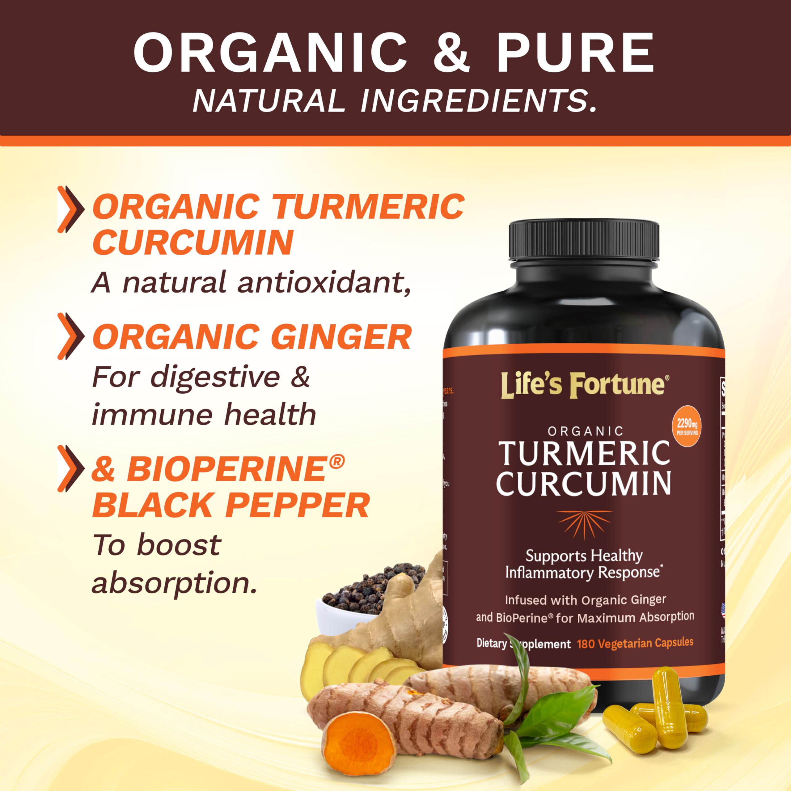 Life's Fortune turmeric curcumin label detail showing vegan, non-GMO formula.