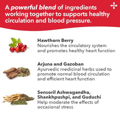 LifeSeasons B/P Stabili-T ingredients list arjuna, ashwagandha, and hawthorn.