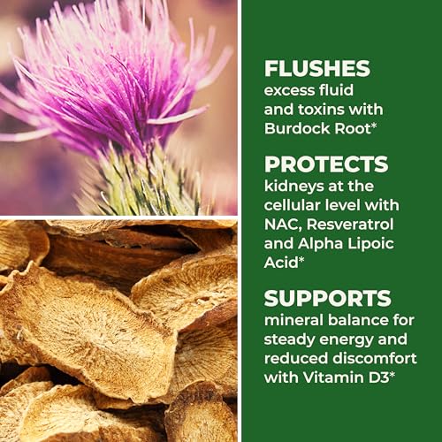 LifeSeasons Kidney Support box labeled USA-made plant-based formulation for kidney wellness.