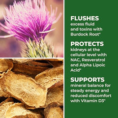 LifeSeasons Kidney Support box labeled USA-made plant-based formulation for kidney wellness.