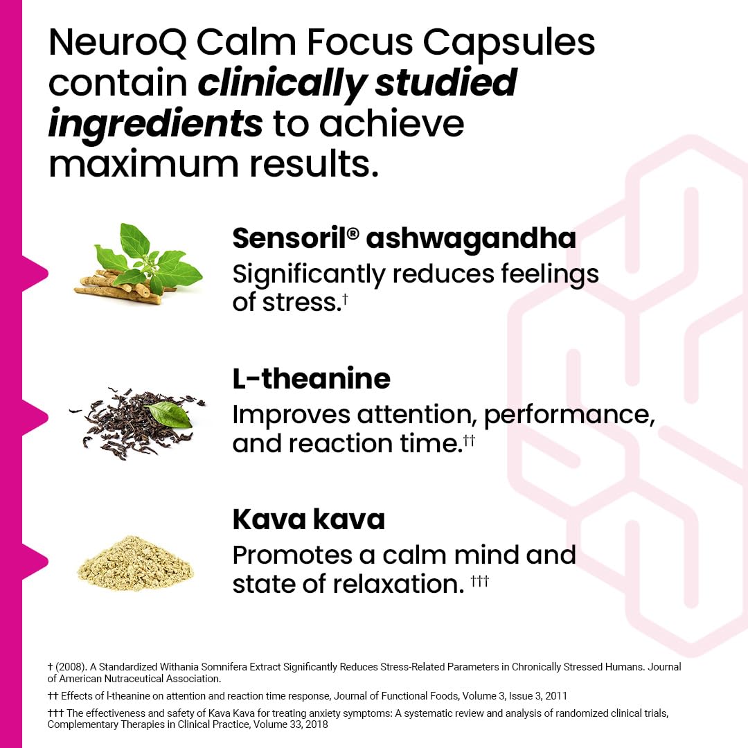 LifeSeasons NeuroQ desk-study scene showcasing focused work and relaxed mood.