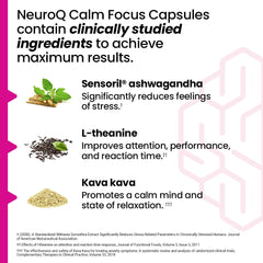 LifeSeasons NeuroQ desk-study scene showcasing focused work and relaxed mood.