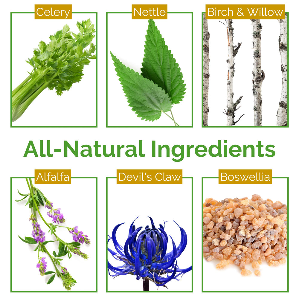 Life Tones Uric Acid Support packaging box emphasizes plant-based formulation