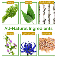 Life Tones Uric Acid Support packaging box emphasizes plant-based formulation