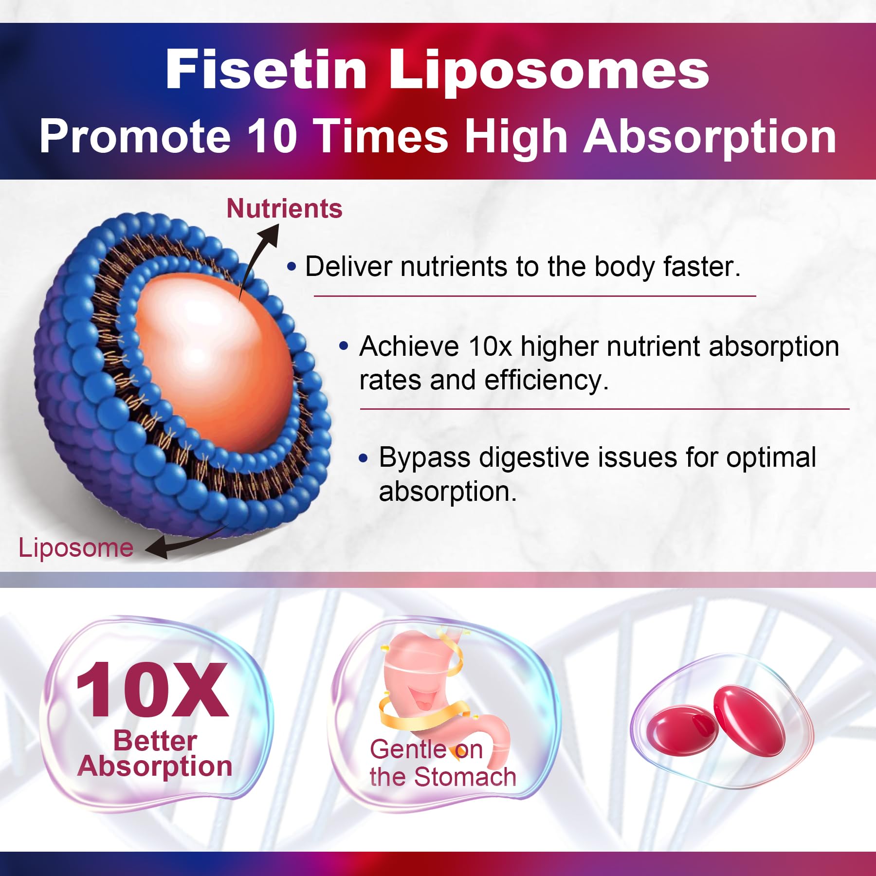LILICARE Fisetin softgels closeup reveals smooth capsules with liposomal coating.