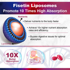 LILICARE Fisetin softgels closeup reveals smooth capsules with liposomal coating.