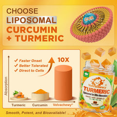 GMP-certified seal on LILICARE turmeric chews packaging for safety and quality