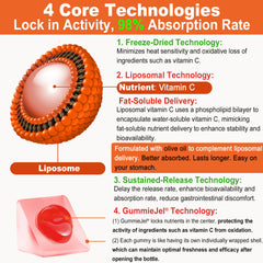 LILICARE sugar-free orange-flavored gummies for daily use.