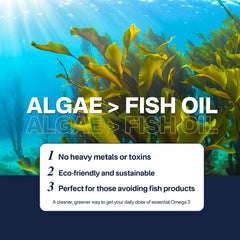 LILICARE vegan omega-3 recyclable packaging appeals to eco-conscious shoppers.
