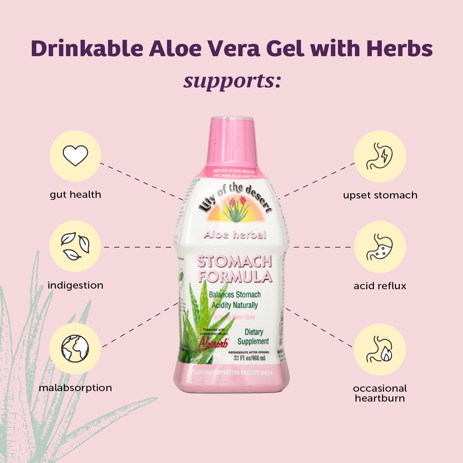 Ingredients include slippery elm, chamomile, peppermint, and ginger in Lily Of The Desert formula.
