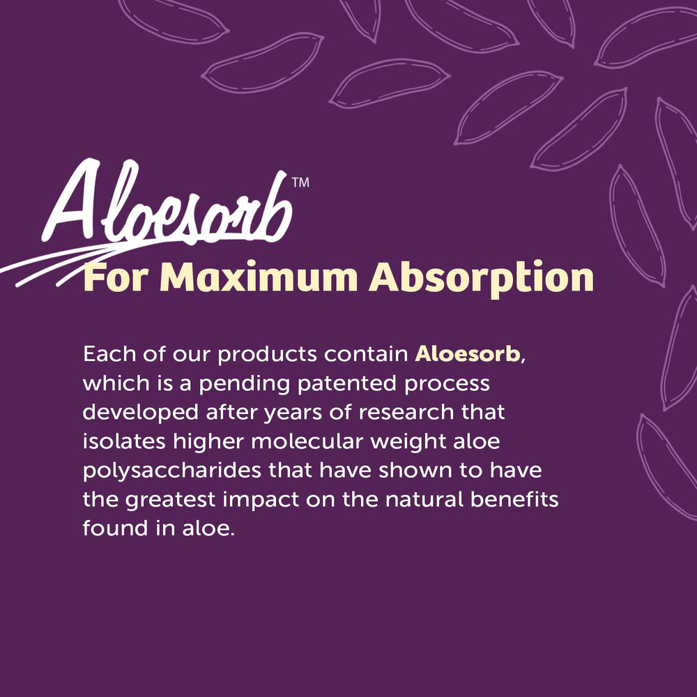 Field-grown Lily of the Desert aloe plants emphasizing farm-to-bottle sourcing