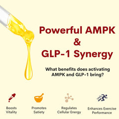 LimerenxLush Liposomal Berberine drops with dropper for versatile dosing