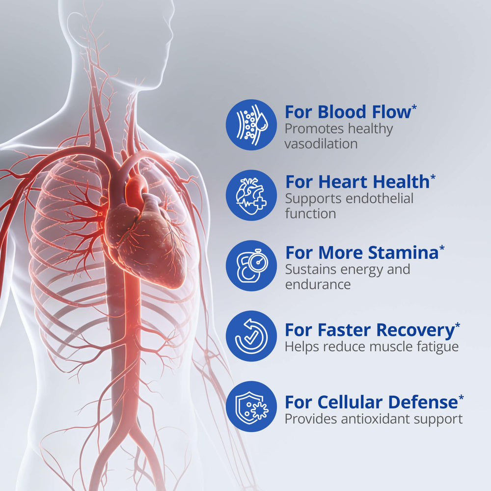 LincNutri ViNitrox patented technology graphic, suggesting enhanced nitric oxide production