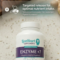 LionHeart Ox Bile 30 mg capsules shown to support richer meals