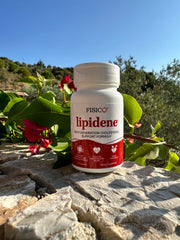 Lipidene capsules on white background ready for daily cardiovascular support