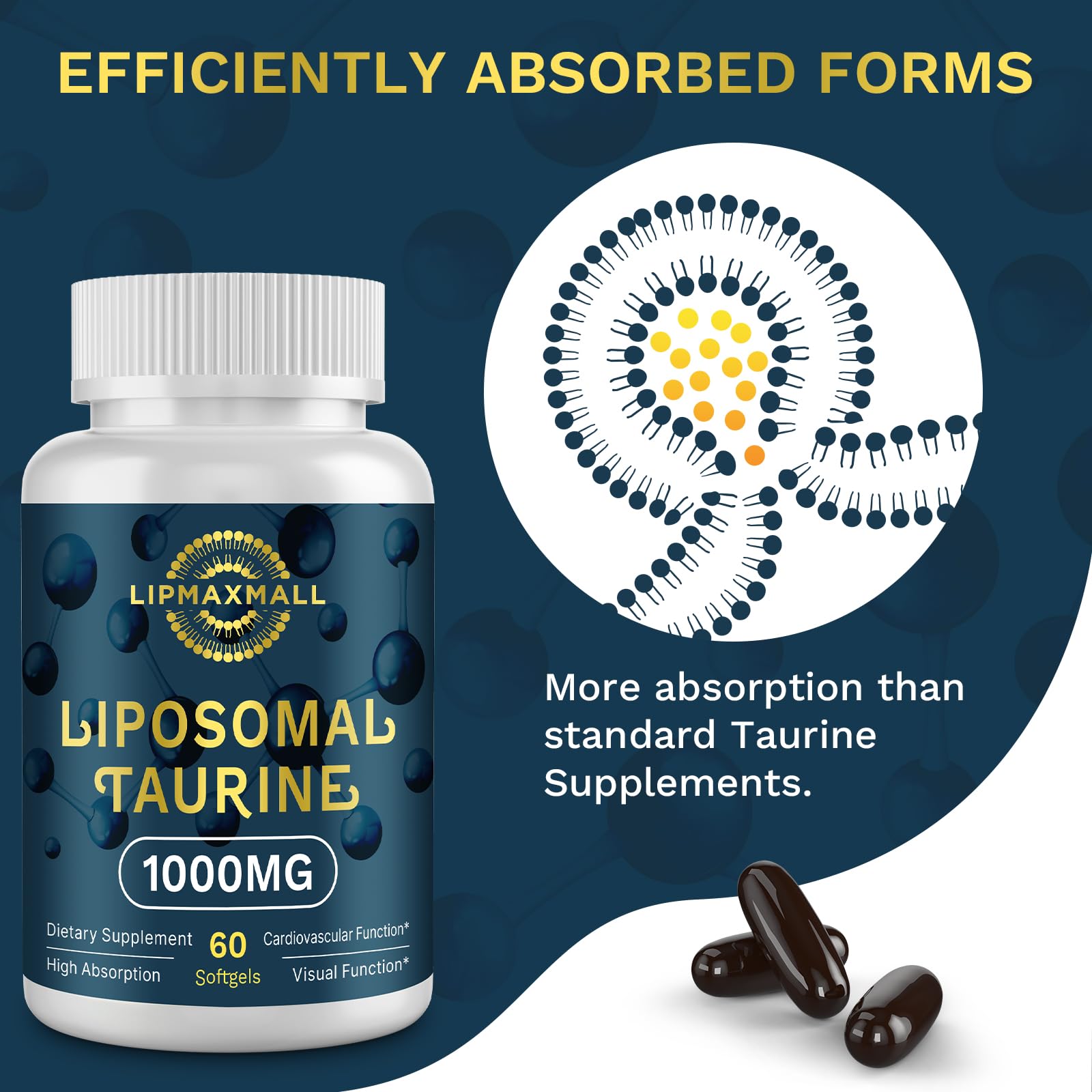 lipmaxmall Brain-vision focus shot implying cognitive and visual support