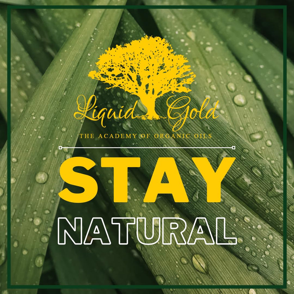 Liquid Gold Inc Arnica Oil used for hair care and scalp nourishment
