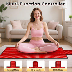 LITDUCK multifunction controller for adjustable intensity and timer.