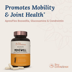 Live Conscious MoveWell MSM closeup emphasizing recovery-oriented ingredients.
