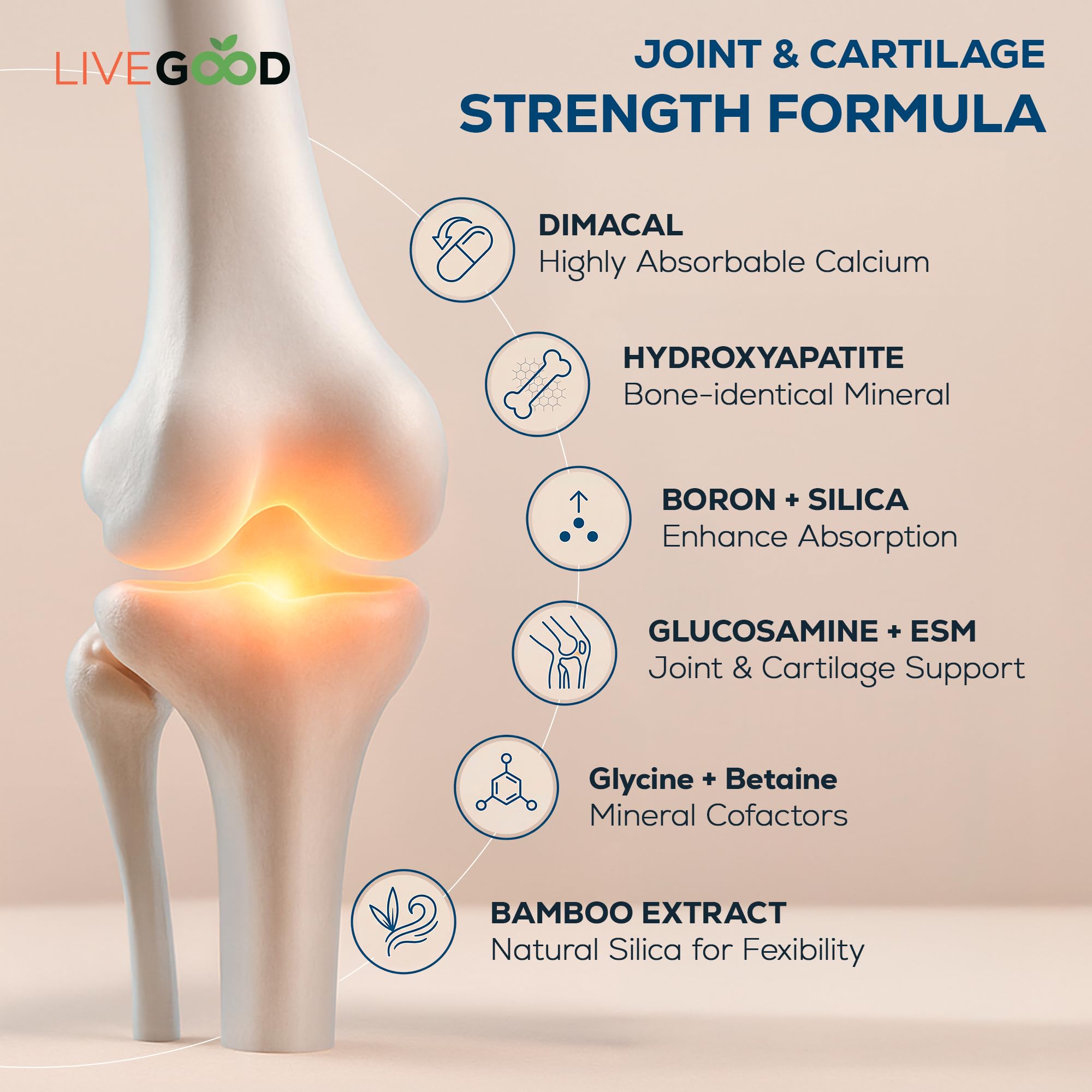Graphic illustration of di calcium malate and hydroxyapatite for bone support