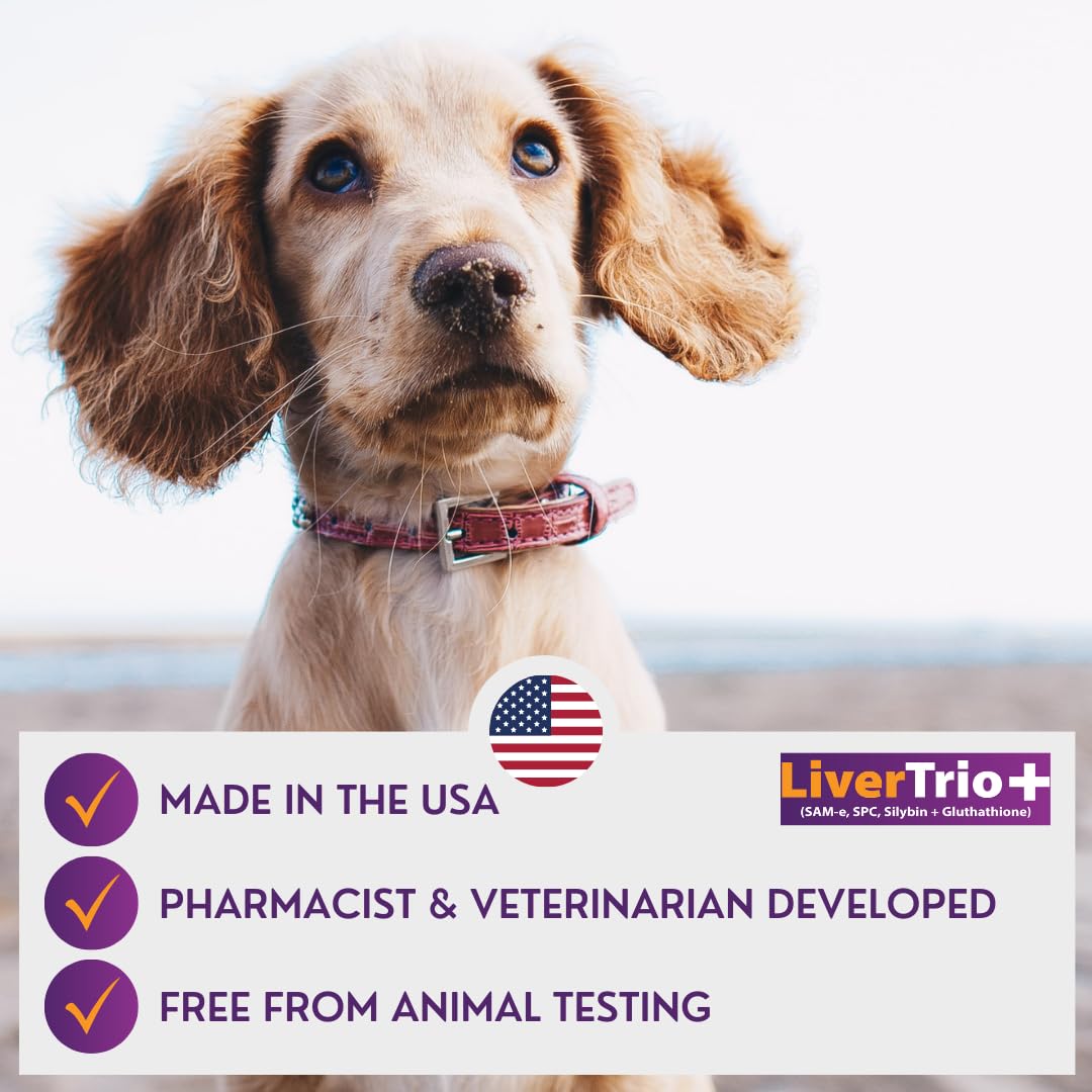 LiverTrio+ veterinarian-designed logo communicates professional backing.