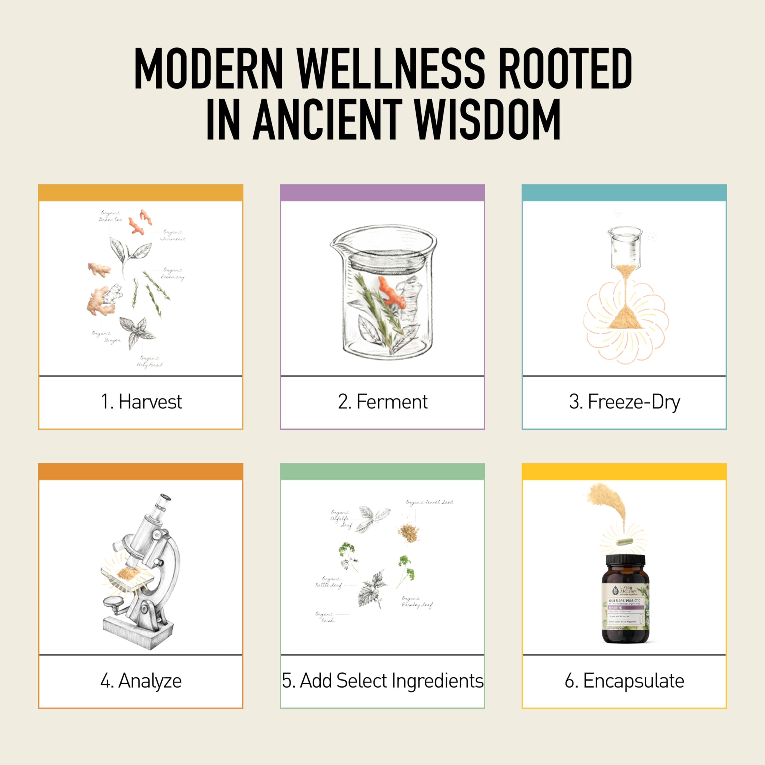 Living Alchemy daily use dosage directions shown for easy routines.