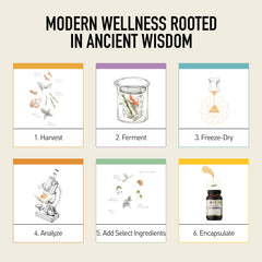 Living Alchemy daily use dosage directions shown for easy routines.