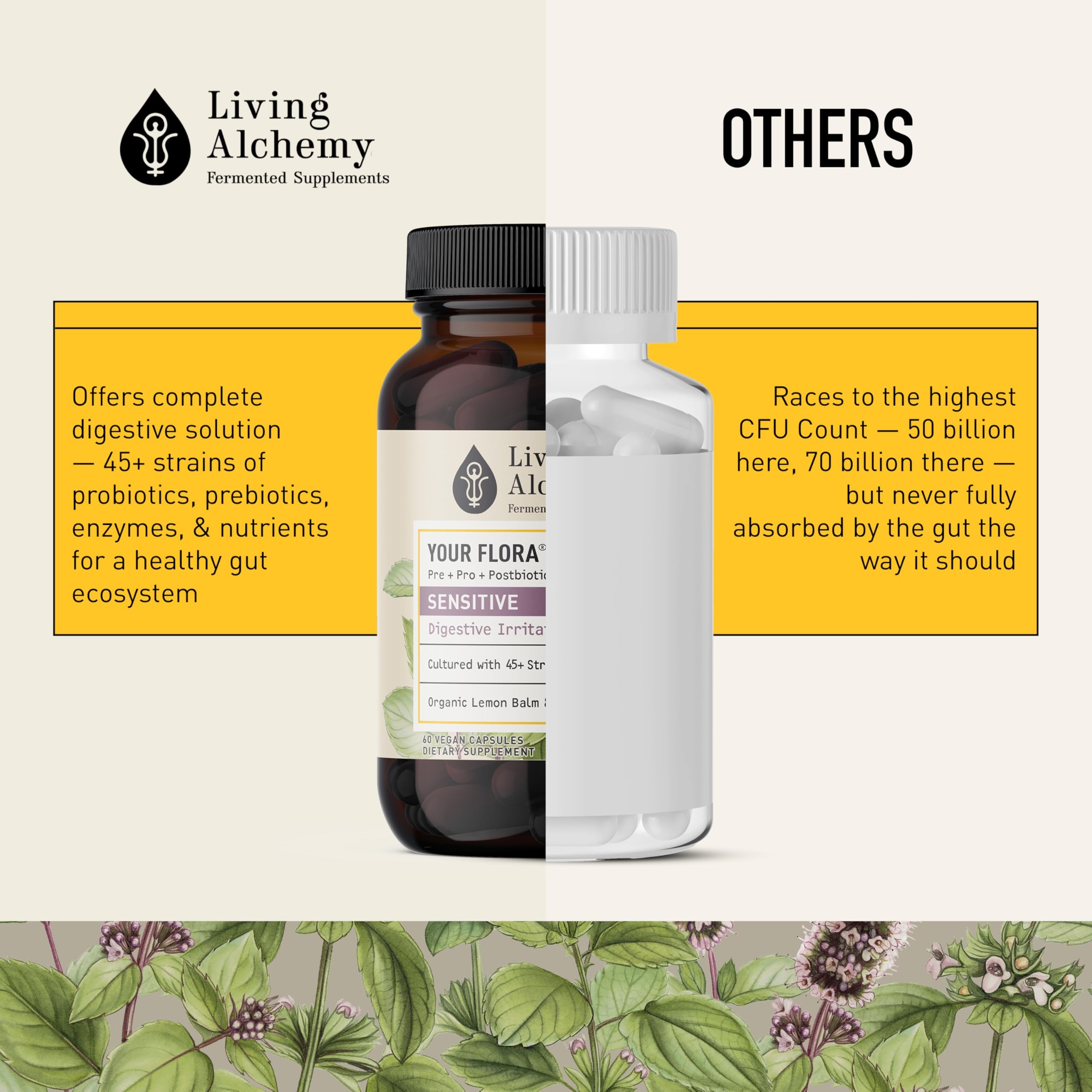 Living Alchemy digestive comfort graphic demonstrates easy daily probiotic routine.