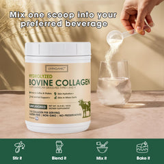 LIVINGANIC collagen peptides powder in smoothie for convenient use