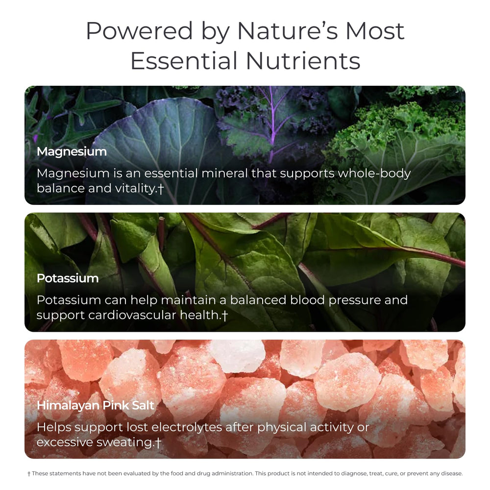 Livingood Daily Electrolytes Powder label ingredients highlights vitamin C and plant compounds.