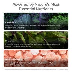Livingood Daily Electrolytes Powder label ingredients highlights vitamin C and plant compounds.