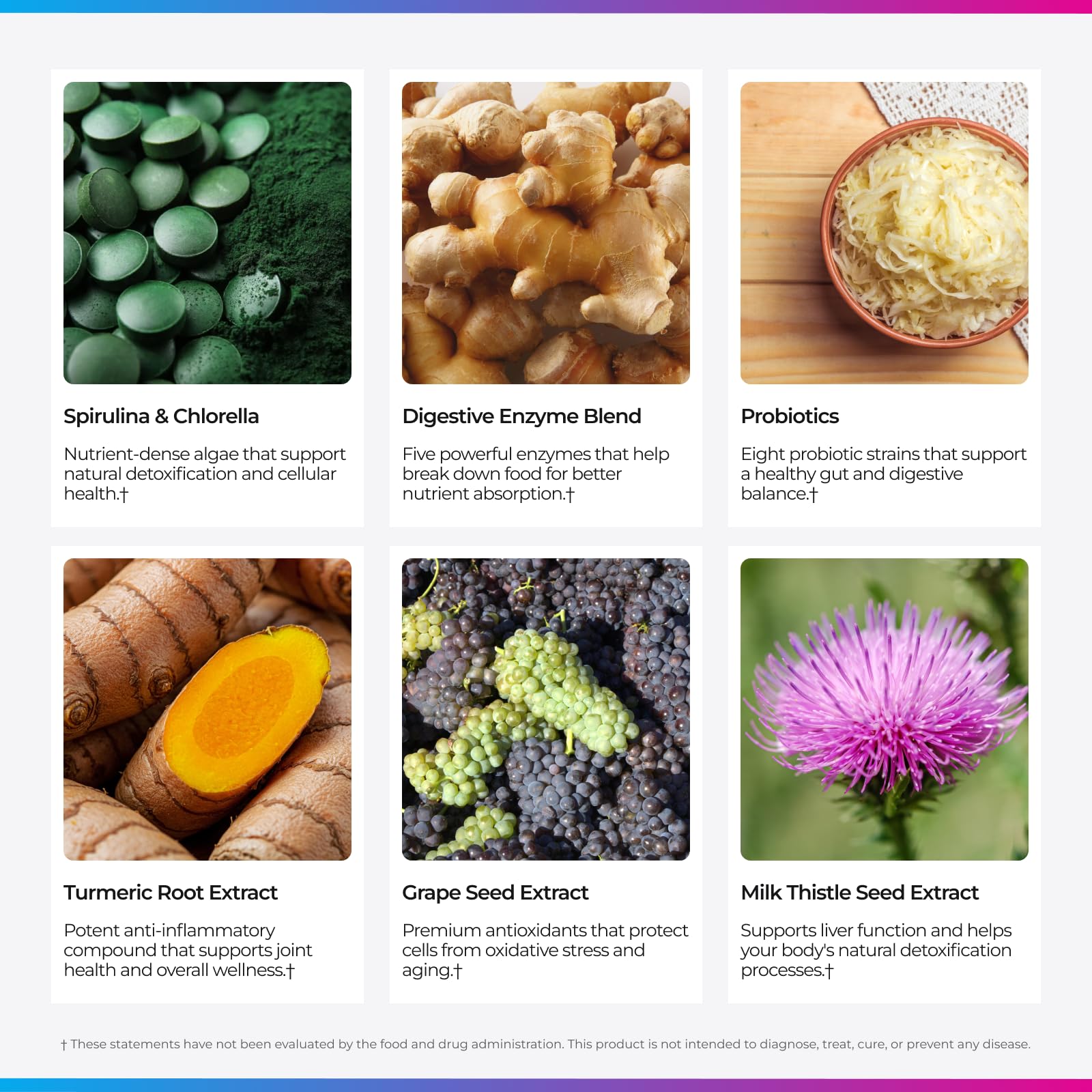Close-up of spirulina and chlorella in Livingood Daily Greens