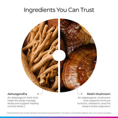 Livingood Daily logo conveys trusted, plant-powered wellness from the 12-in-1 blend.