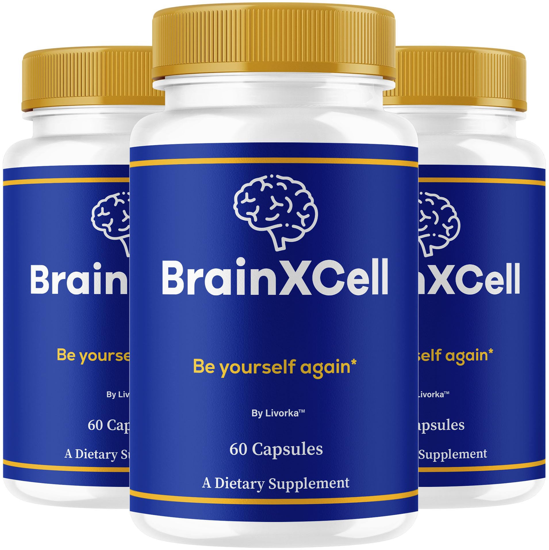 LIVORKA BrainXCell capsules bottle front – convenient daily memory support on the go.