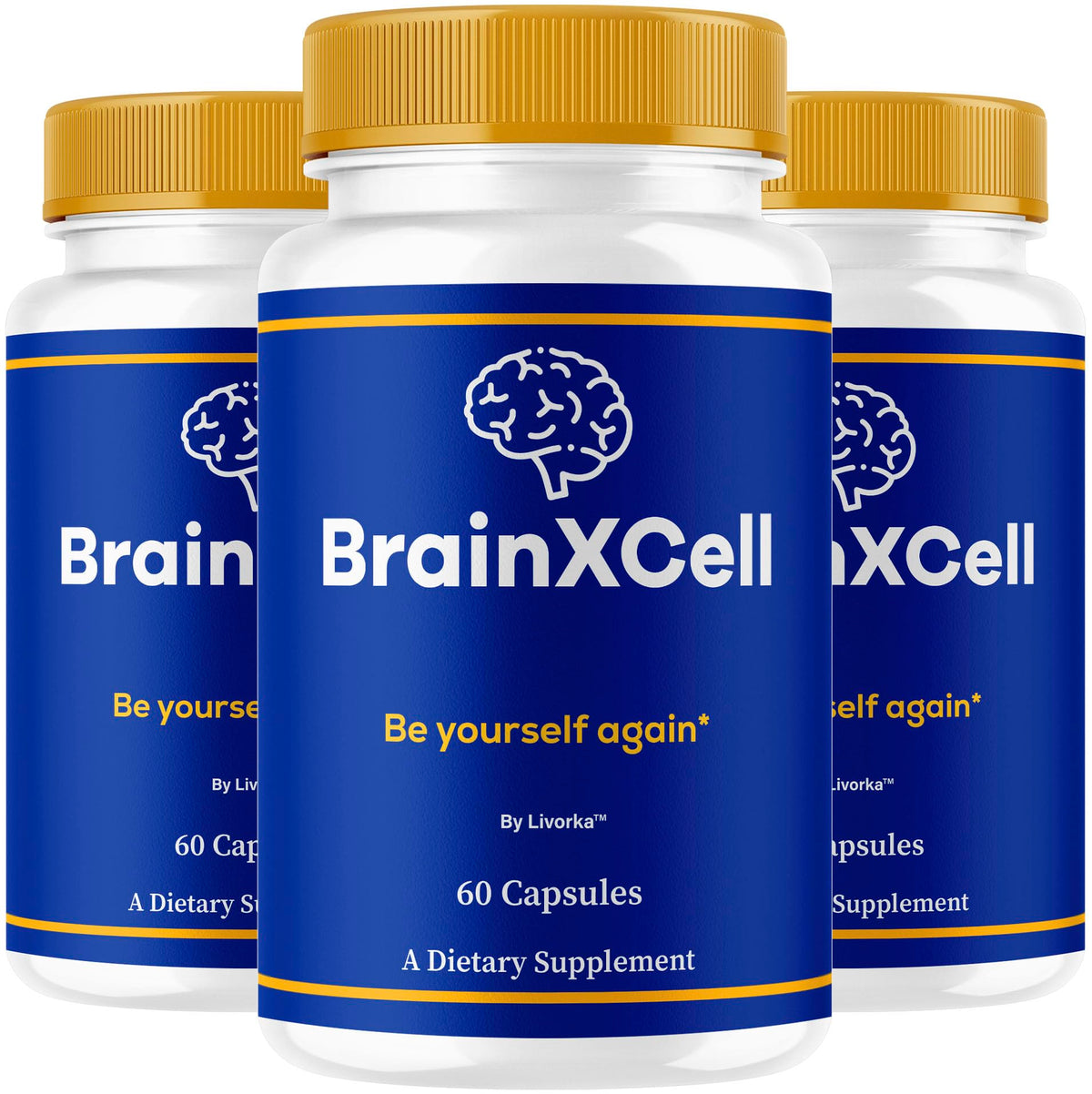 LIVORKA BrainXCell capsules bottle front – convenient daily memory support on the go.