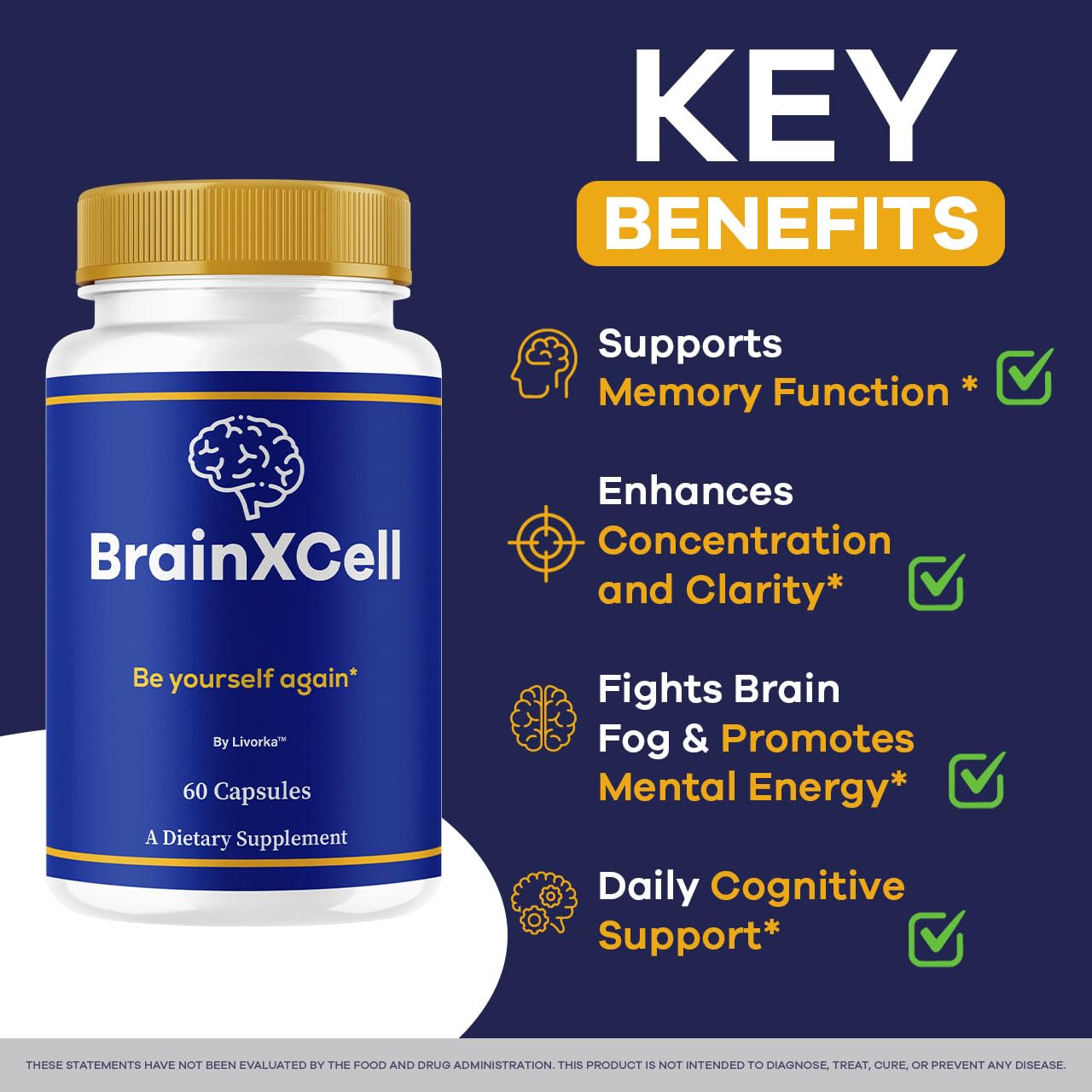 LIVORKA BrainXCell packaging box showcases two-month supply