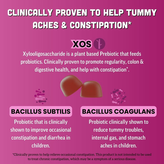 Llama Naturals Kids Probiotic Gummies mixed berry for easy daily intake.