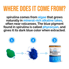 Lone Star Botanicals blue spirulina powder used in desserts for vivid color.